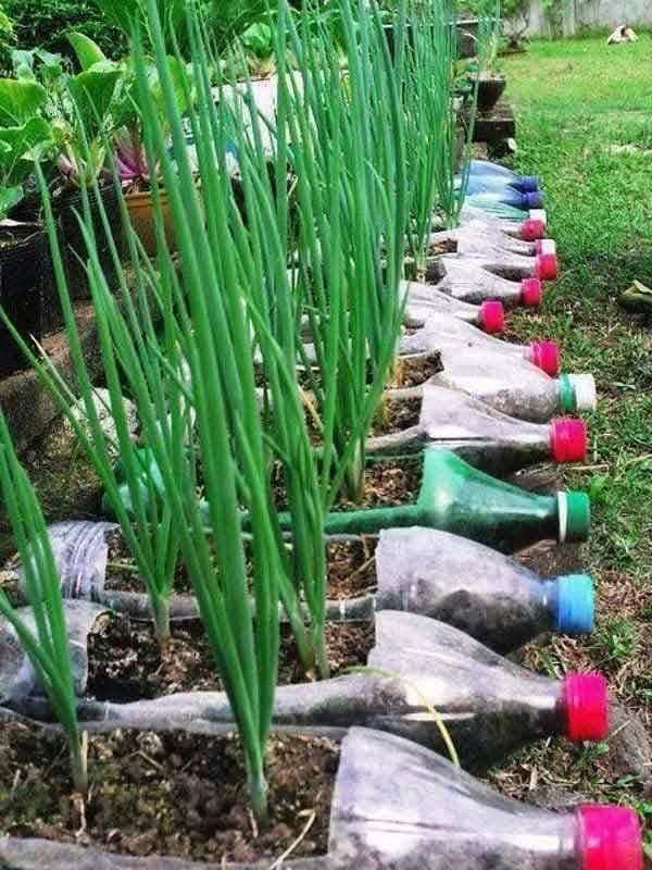 Food preservation method project launch in 2025 by FACE -South Sudan